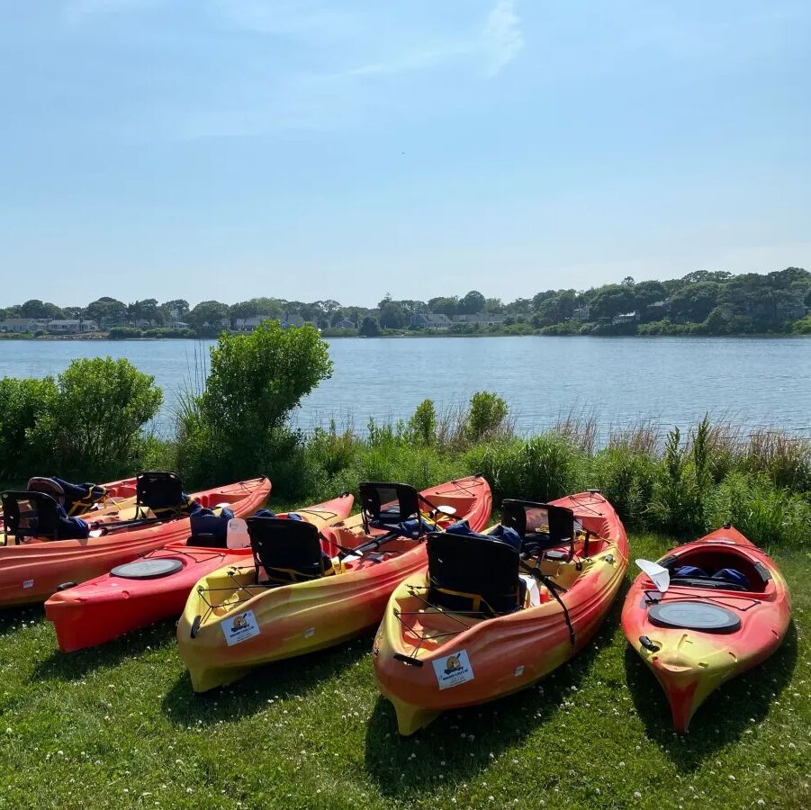 Picture of Rent Kayaks or Paddleboards