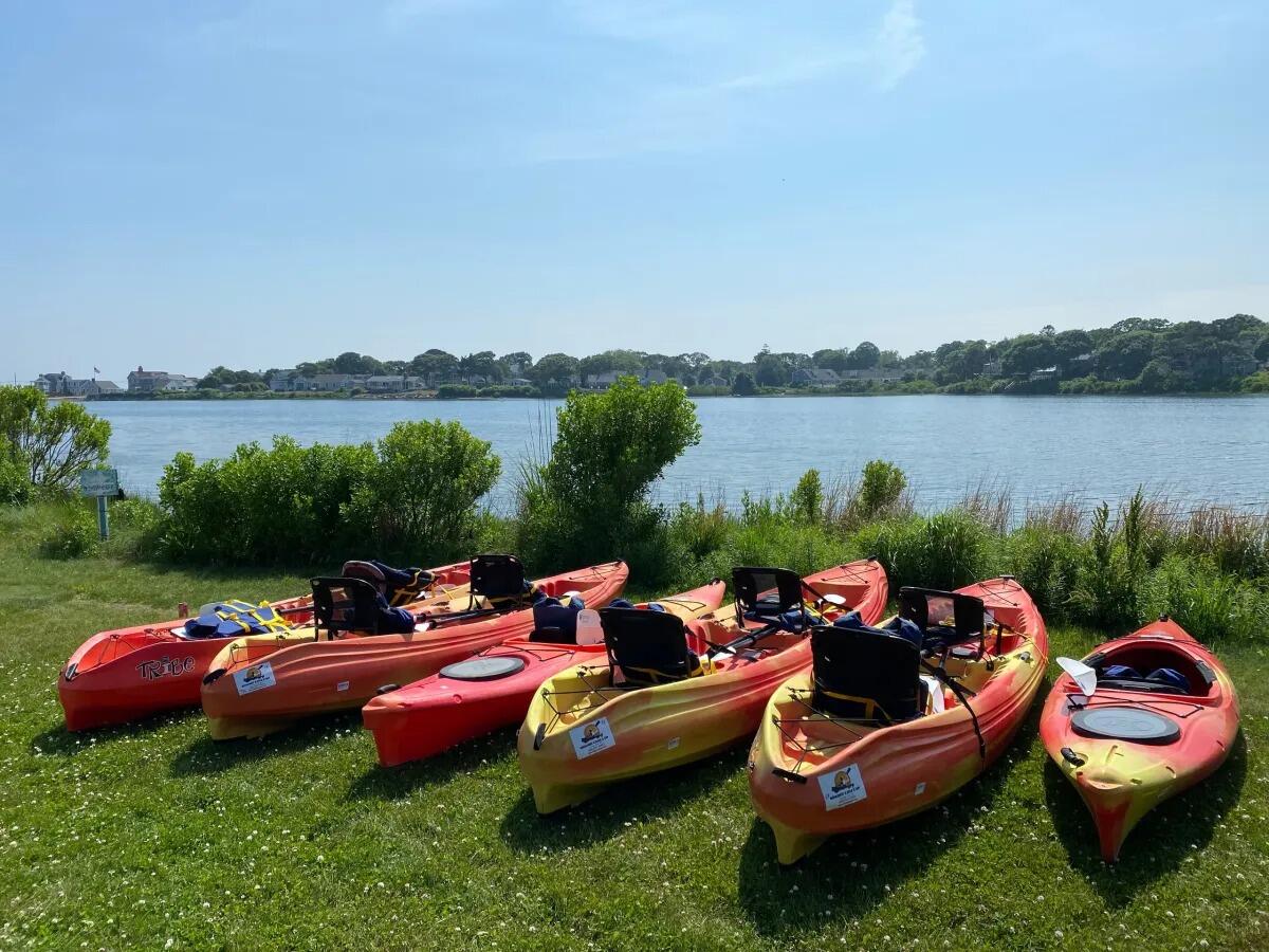 Picture of Rent Kayaks or Paddleboards