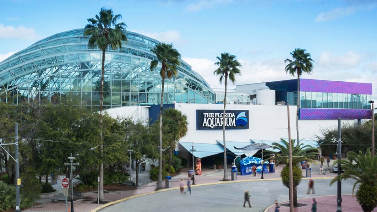 Picture of The Florida Aquarium