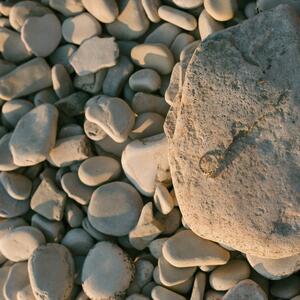 Gallery Photo 46