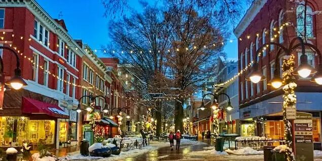 Picture of The Downtown Mall