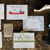 This Couple Filled Their Cabin Wedding at Otter Tail Lake in Minnesota With Laid-Back Vibes