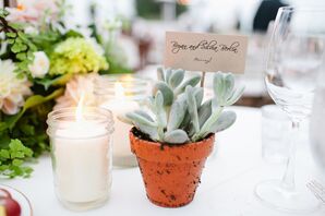 Succulent Escort Cards