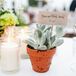 Silvia potted the succulents herself and made the escort cards as well.