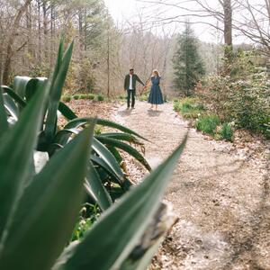 Gallery Photo 28