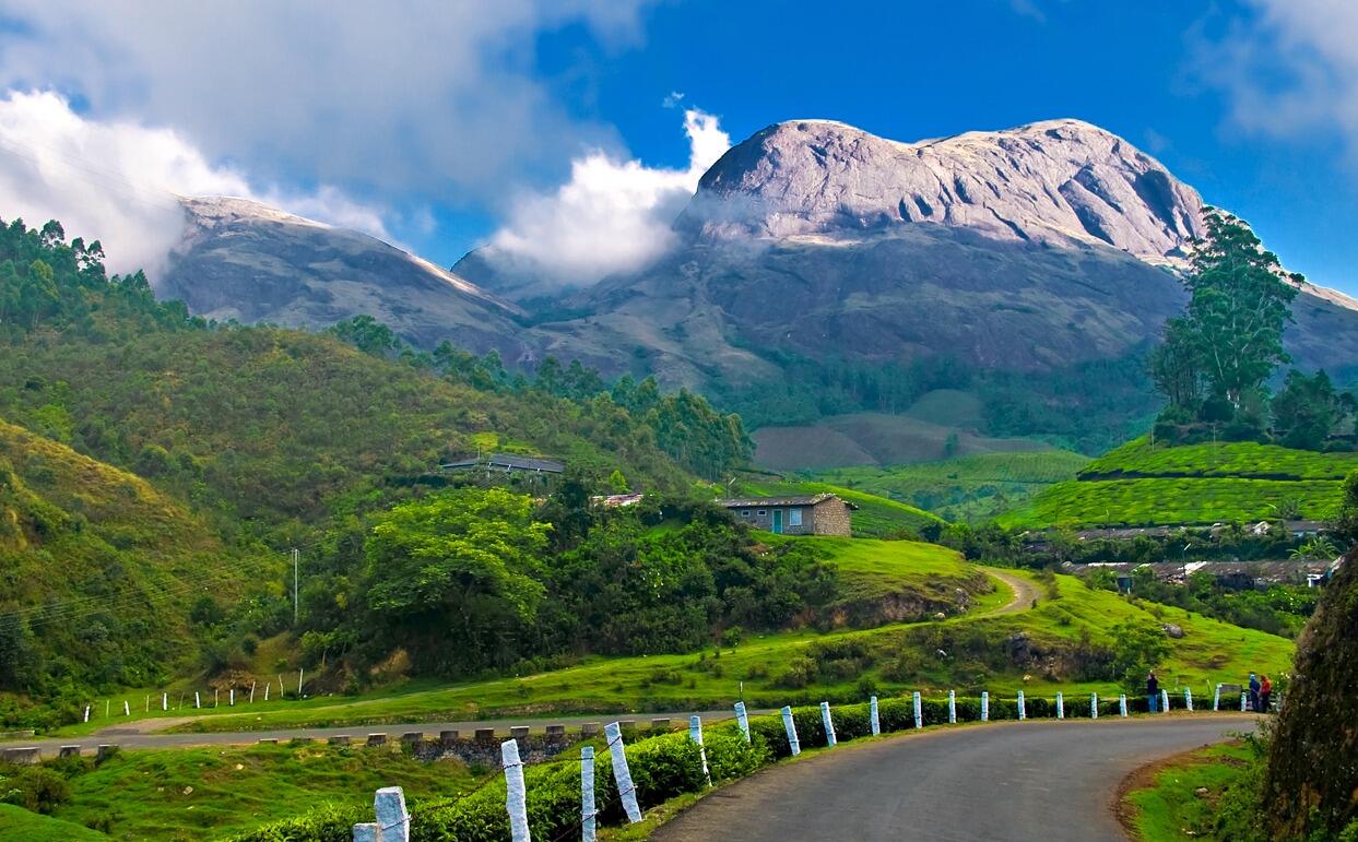 Picture of Visit Munnar – Tea Gardens & Mountains
