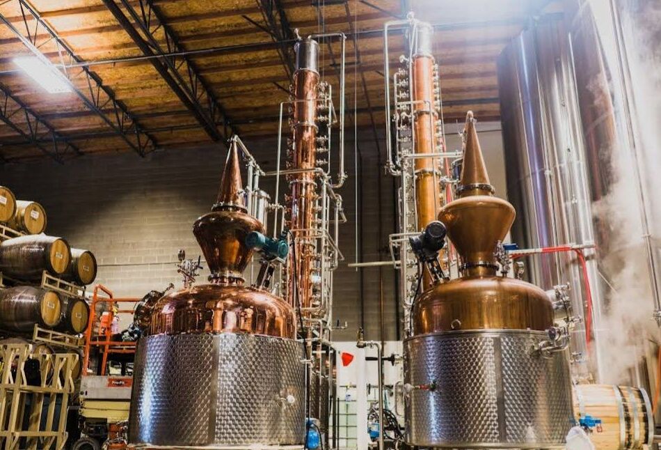 Picture of SanTan Gardens- Brewery & Distillery