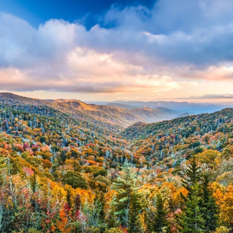 Picture of Great Smoky Mountains National Park