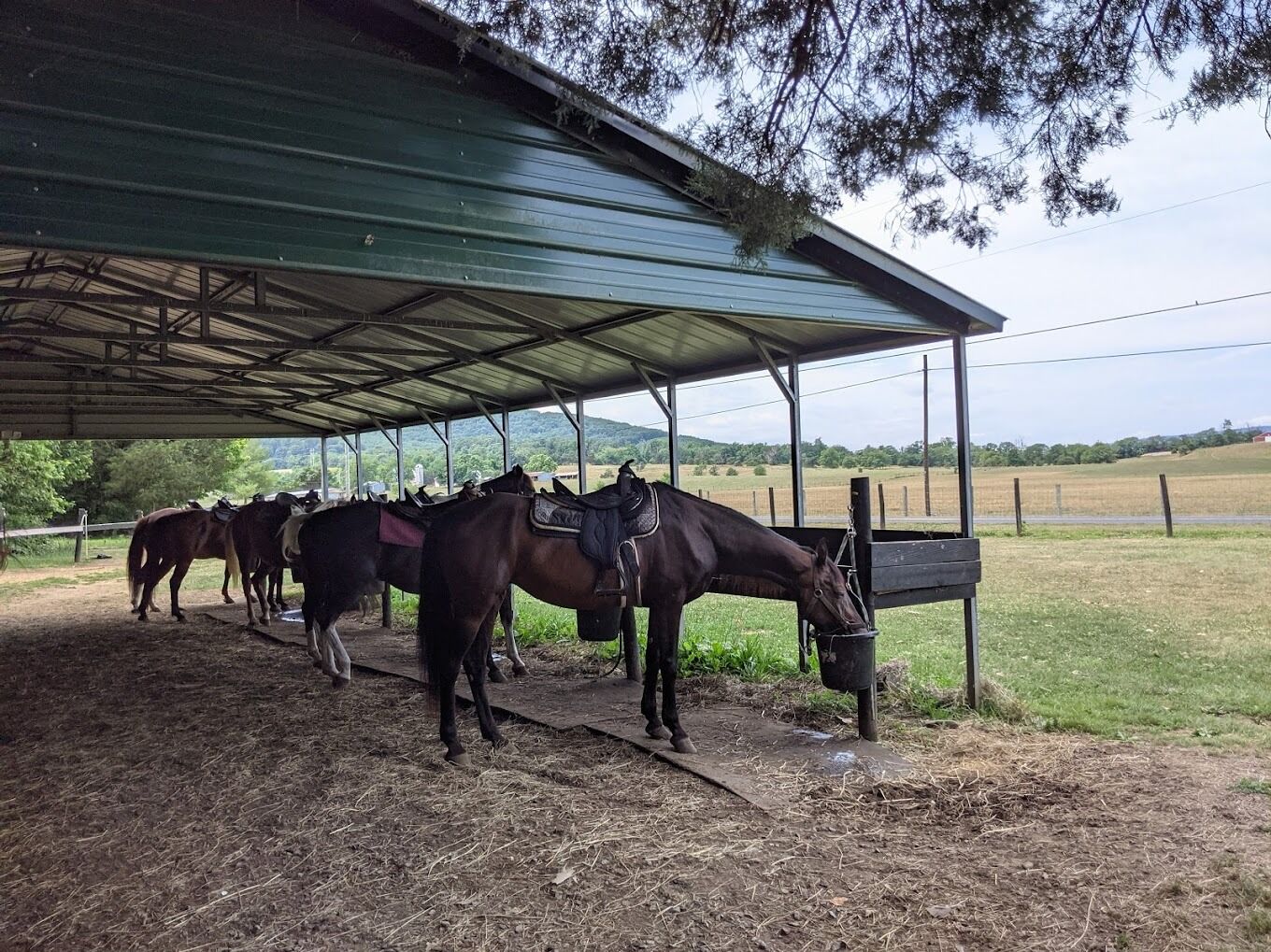 Picture of Jordan Hollow Stables