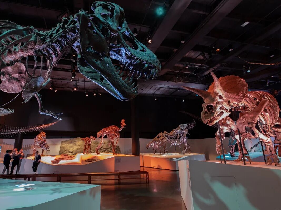 Picture of Houston Museum of Natural Science