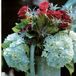 The Reception Decor