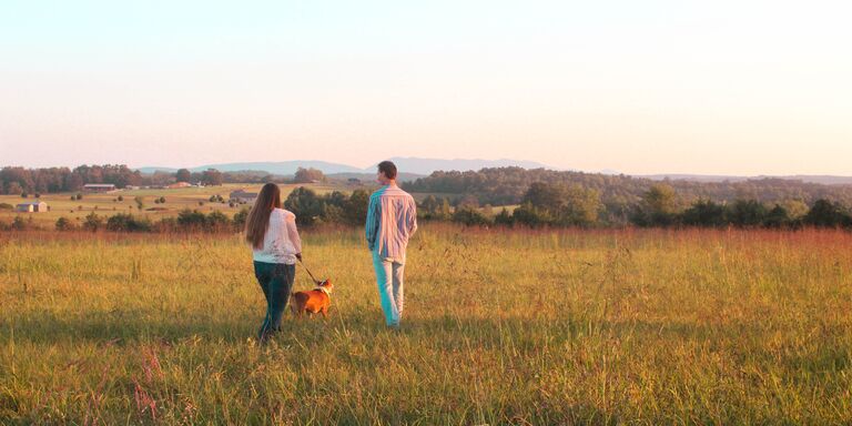 Zoe & Sam Home Page Banner