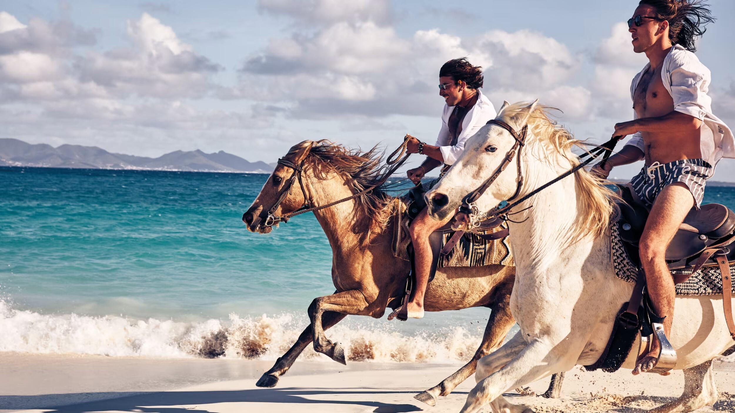 Picture of Horseback Riding