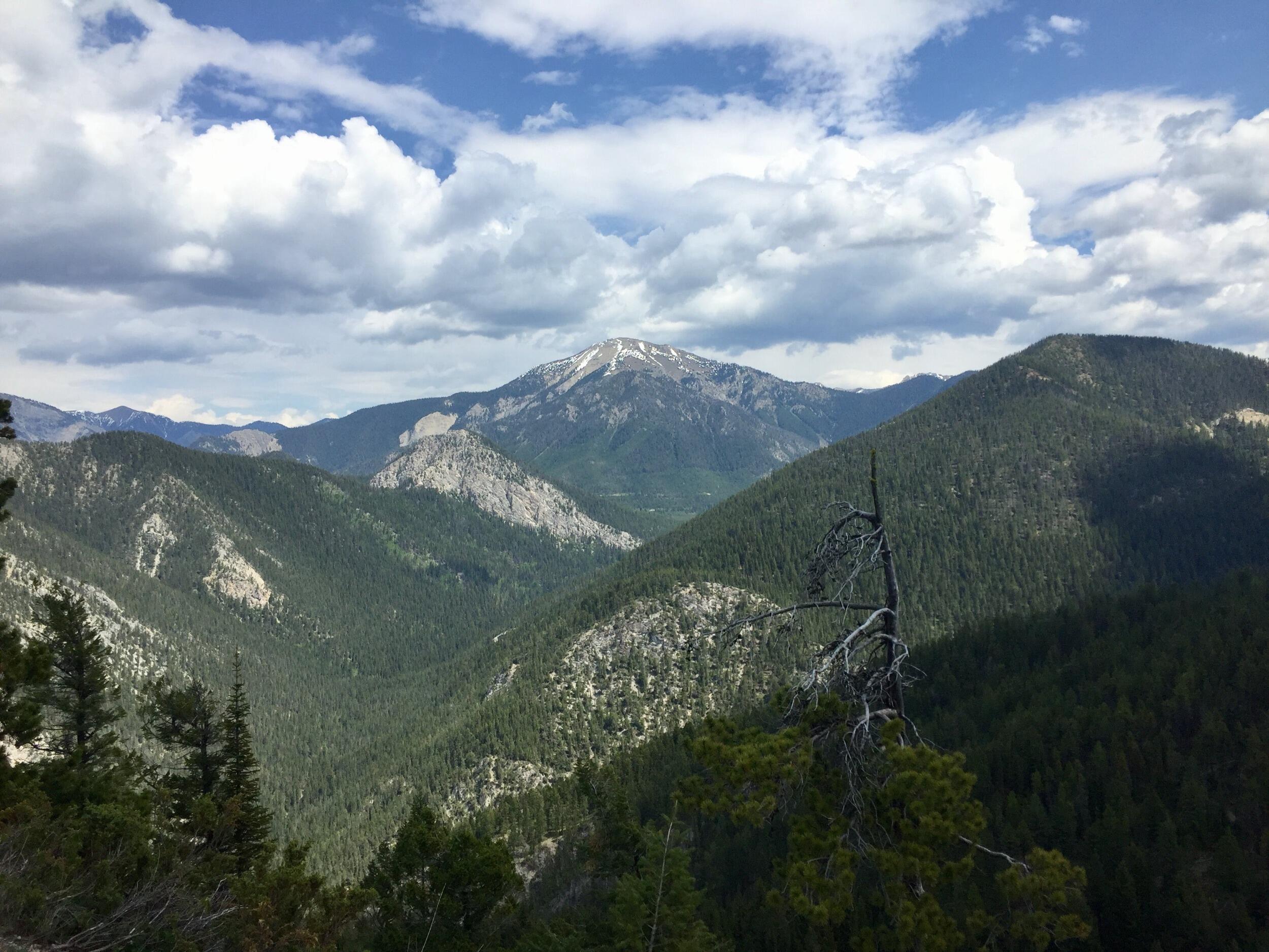 Picture of Swansea Mountain Recreation Site