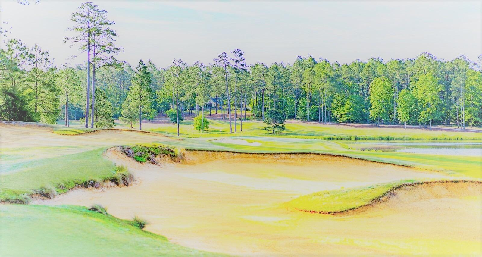 Picture of Forest Creek Golf Club