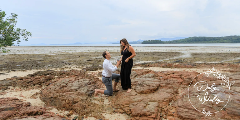Rachel & Zach Home Page Banner