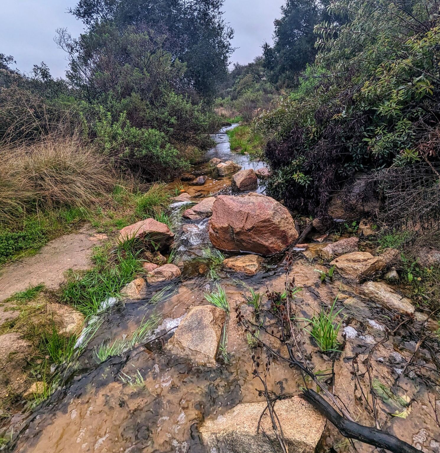 Picture of Daley Ranch Park