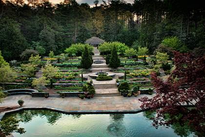 Picture of Sarah P. Duke Gardens