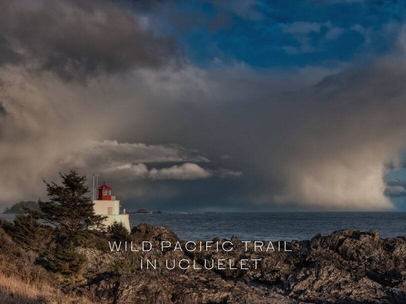 Picture of 6️⃣ Walk the Wild Pacific Trail in Ucluelet