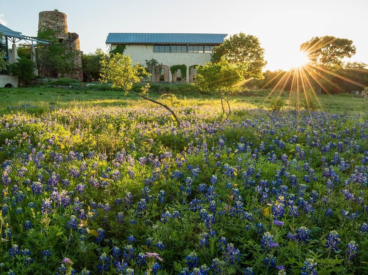 Picture of Lady Bird Johnson Wildflower Center