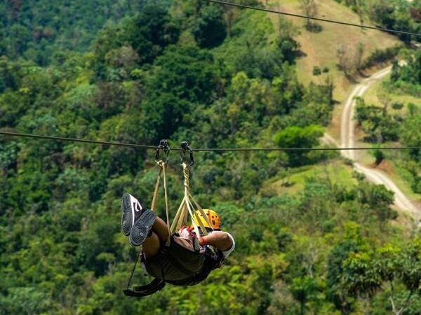 Picture of Toro Verde Adventure Park