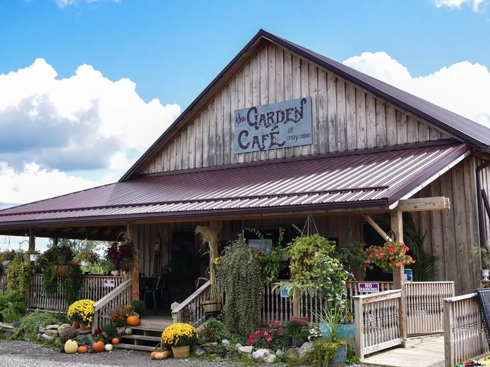 Picture of Crazy Daisies Flowers & Garden Cafe