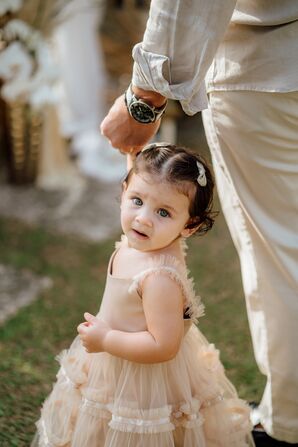 Toddler Flower Girl in Neutral-Colored, Tulle Dress With Hair Clip Accessories