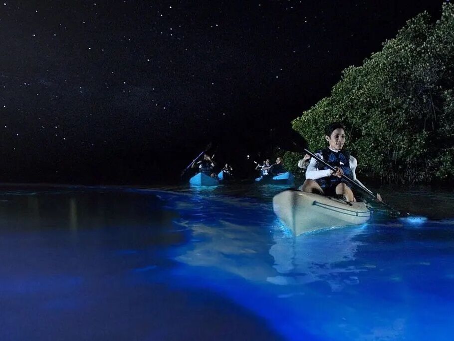 Picture of Fajardo Bioluminescent Bay- Puerto Rico Bio Bay Tours LLC.