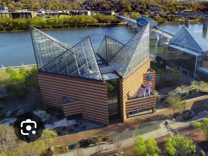 Picture of Tennessee Aquarium