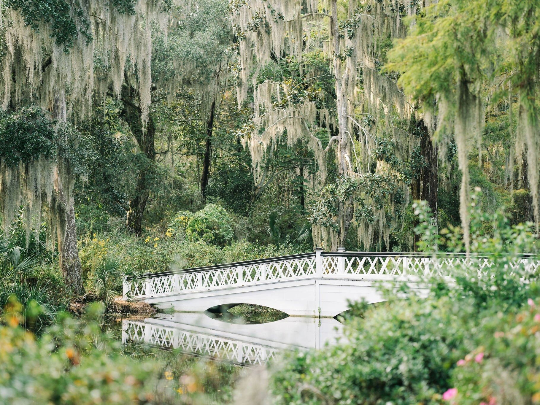 Picture of Magnolia Plantation and Gardens