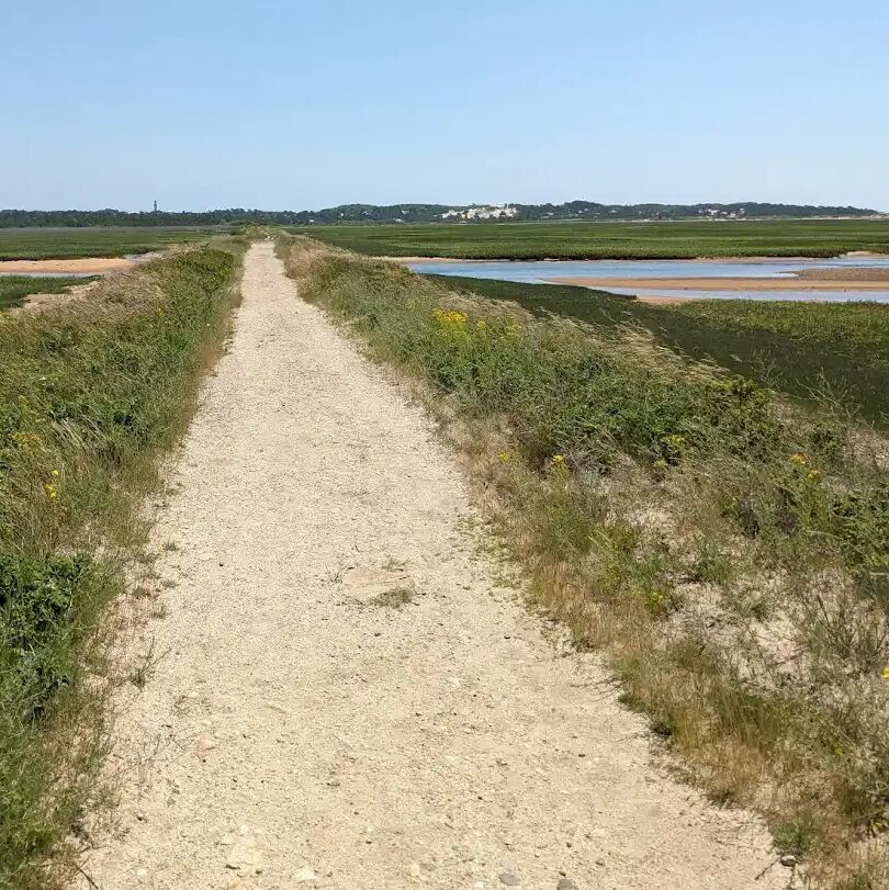 Picture of Hatches Harbor Trail