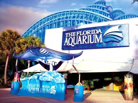 Picture of The Florida Aquarium