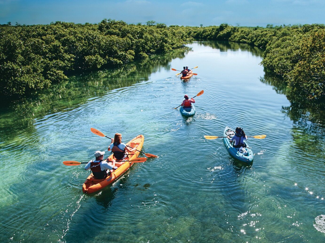 Picture of Kayak Tours
