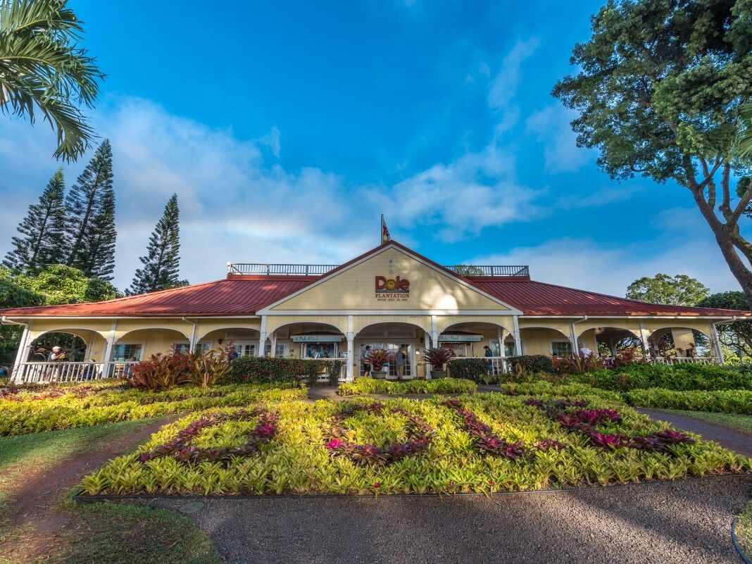 Picture of Dole Plantation