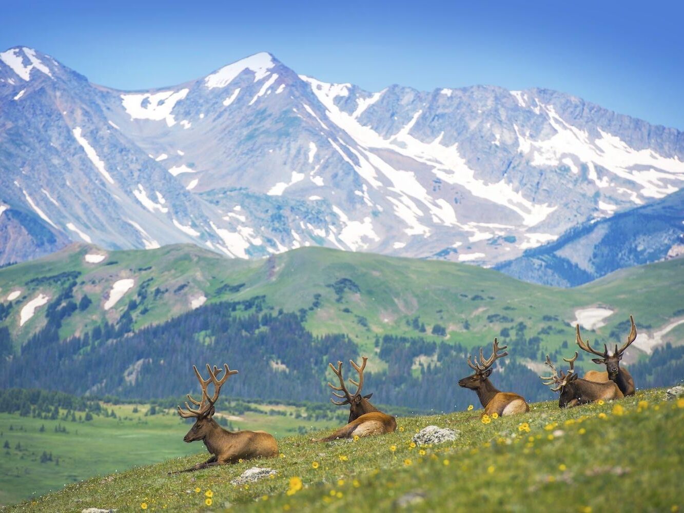 Picture of Rocky Mountain National Park