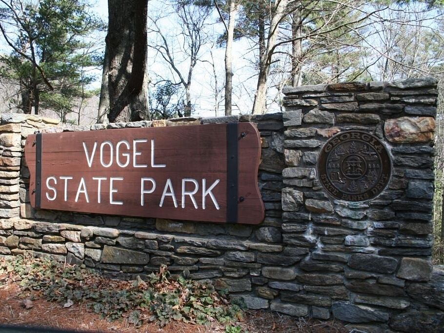 Picture of Vogel State Park