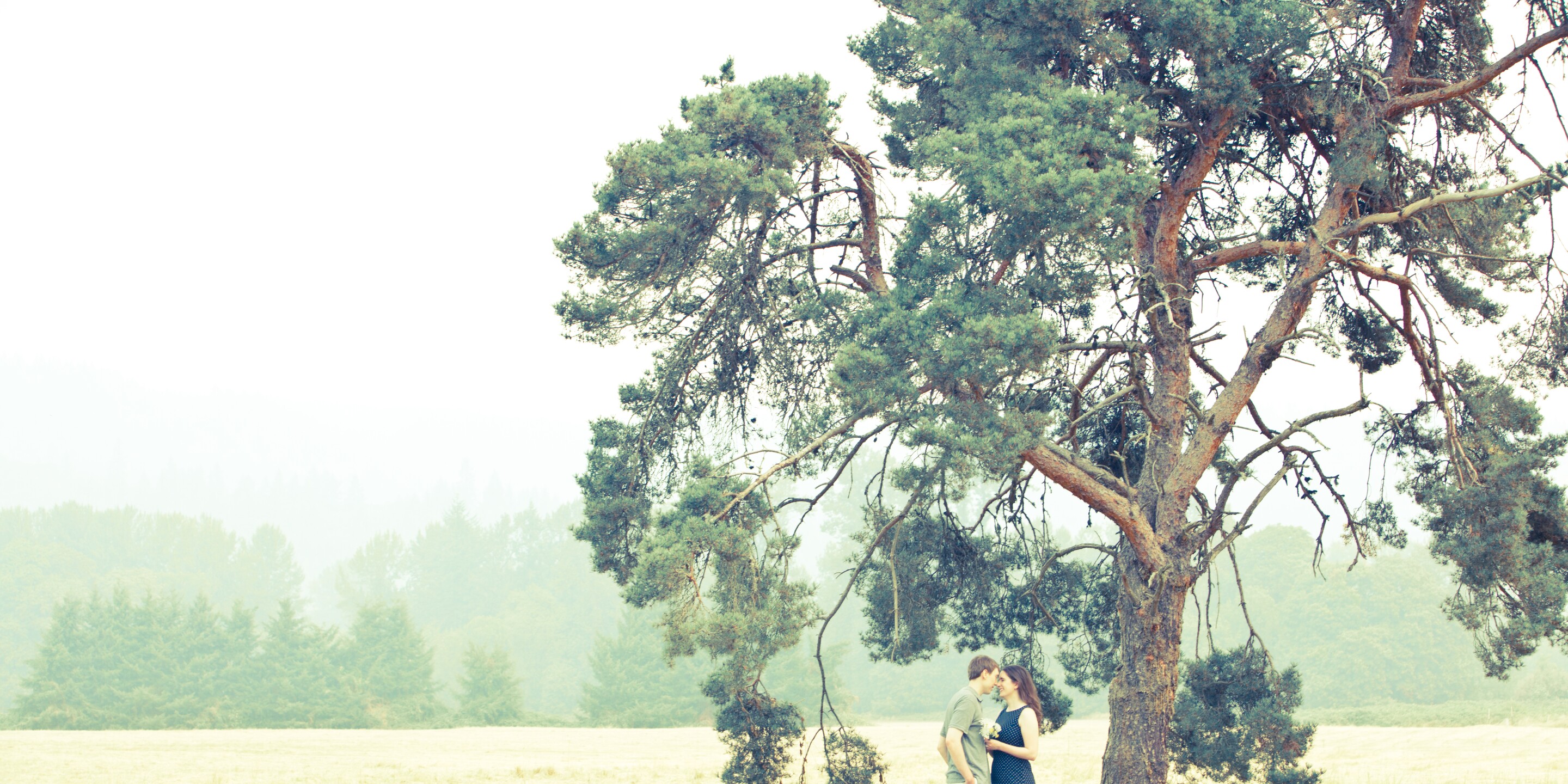 Kate & Justin Home Page Banner