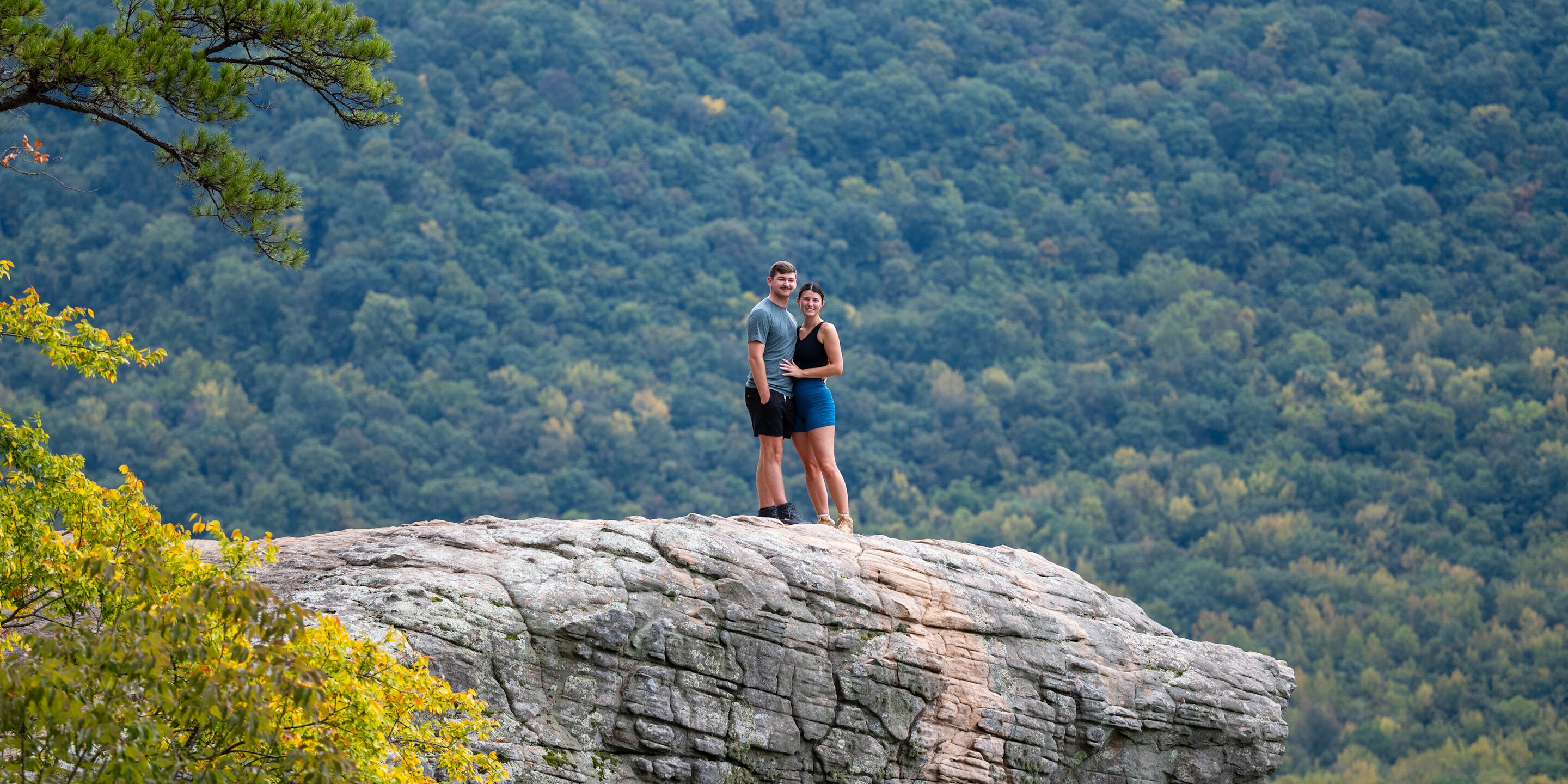 Nicole & Matthew Home Page Banner