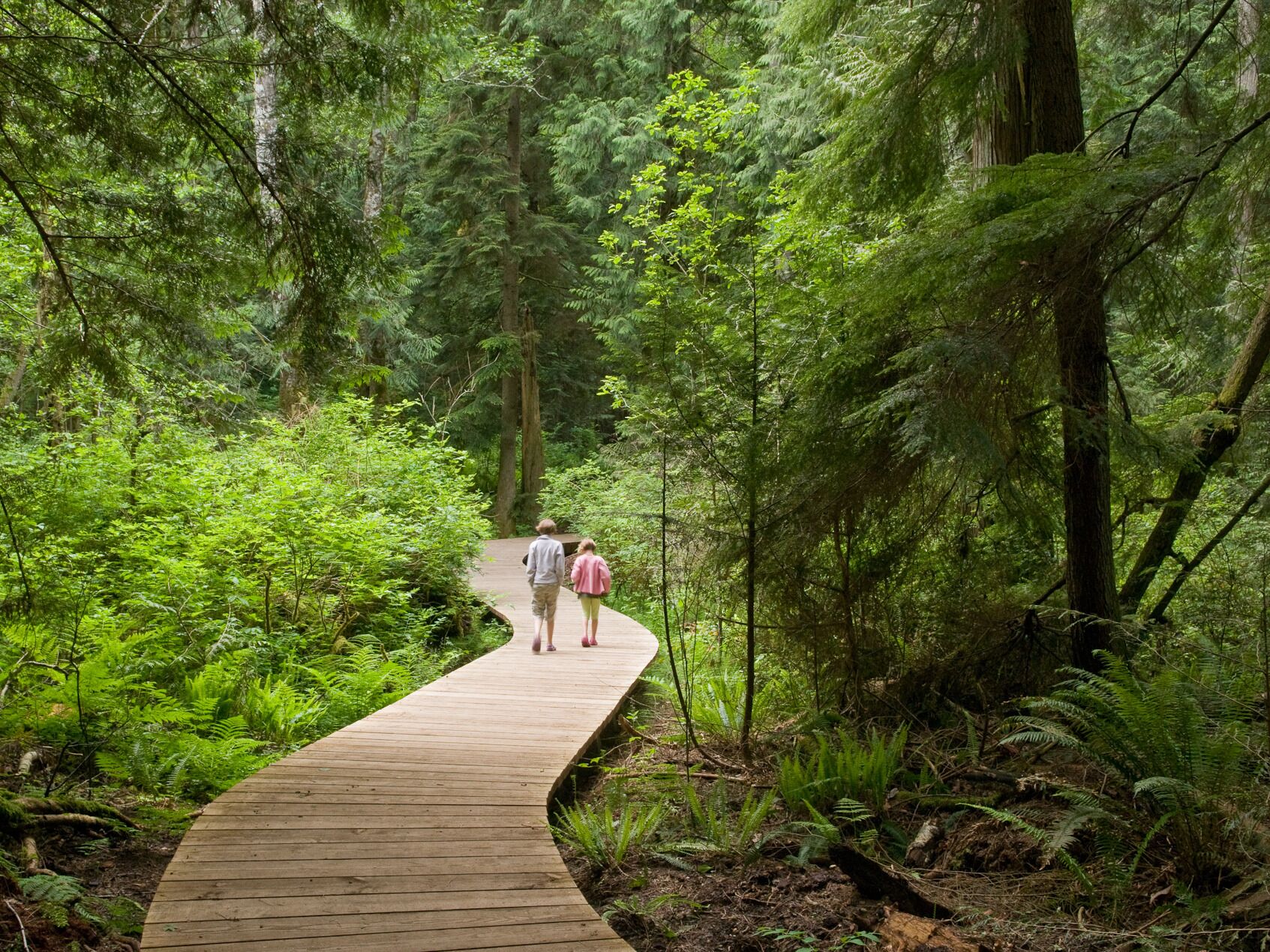 Picture of Walk Bainbridge Island