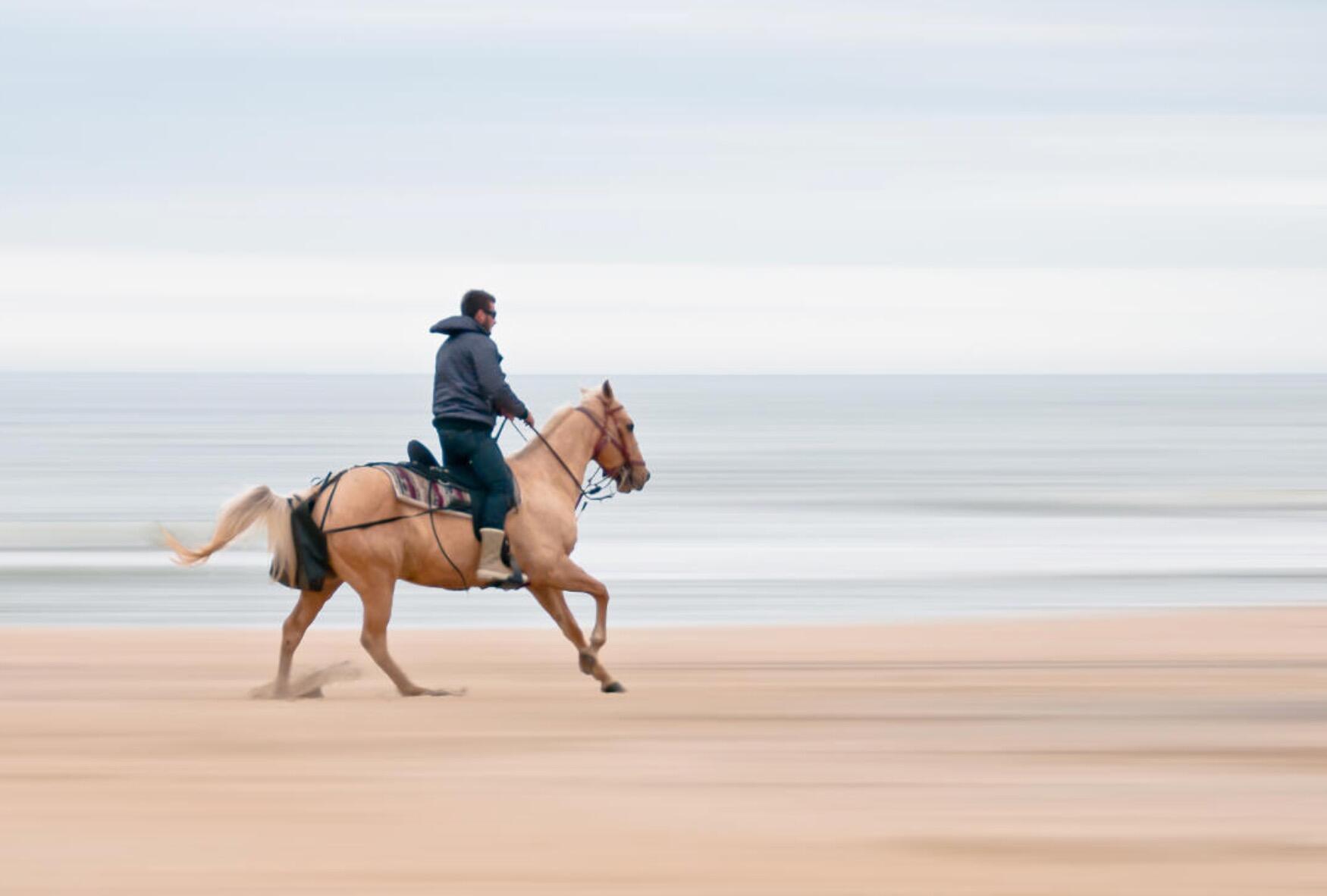 Picture of Guided Horseback Ride