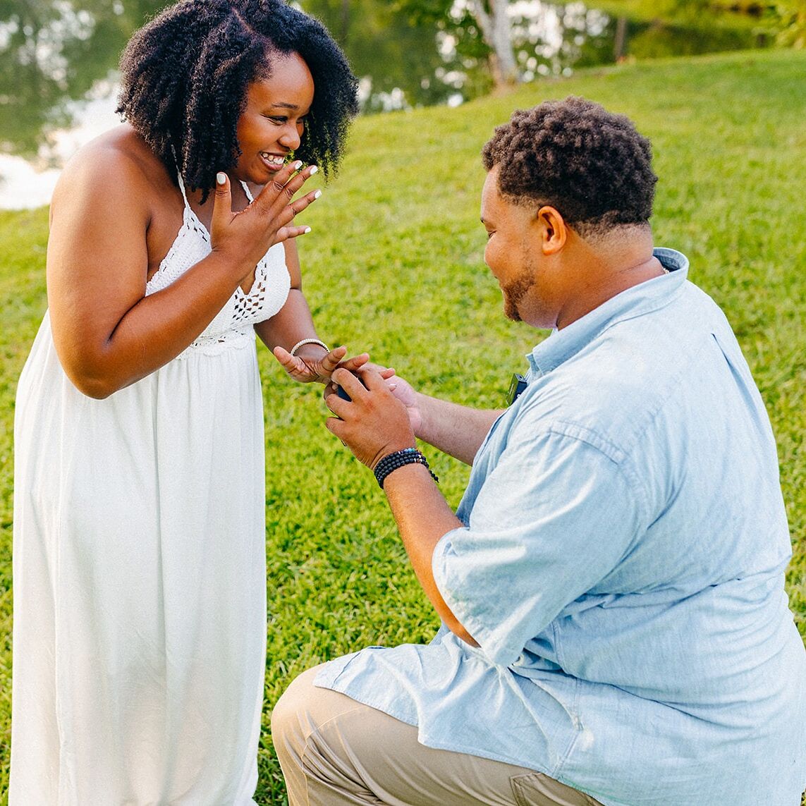 Picture of THE PROPOSAL 