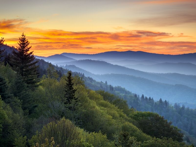 Picture of Great Smoky Mountains National Park