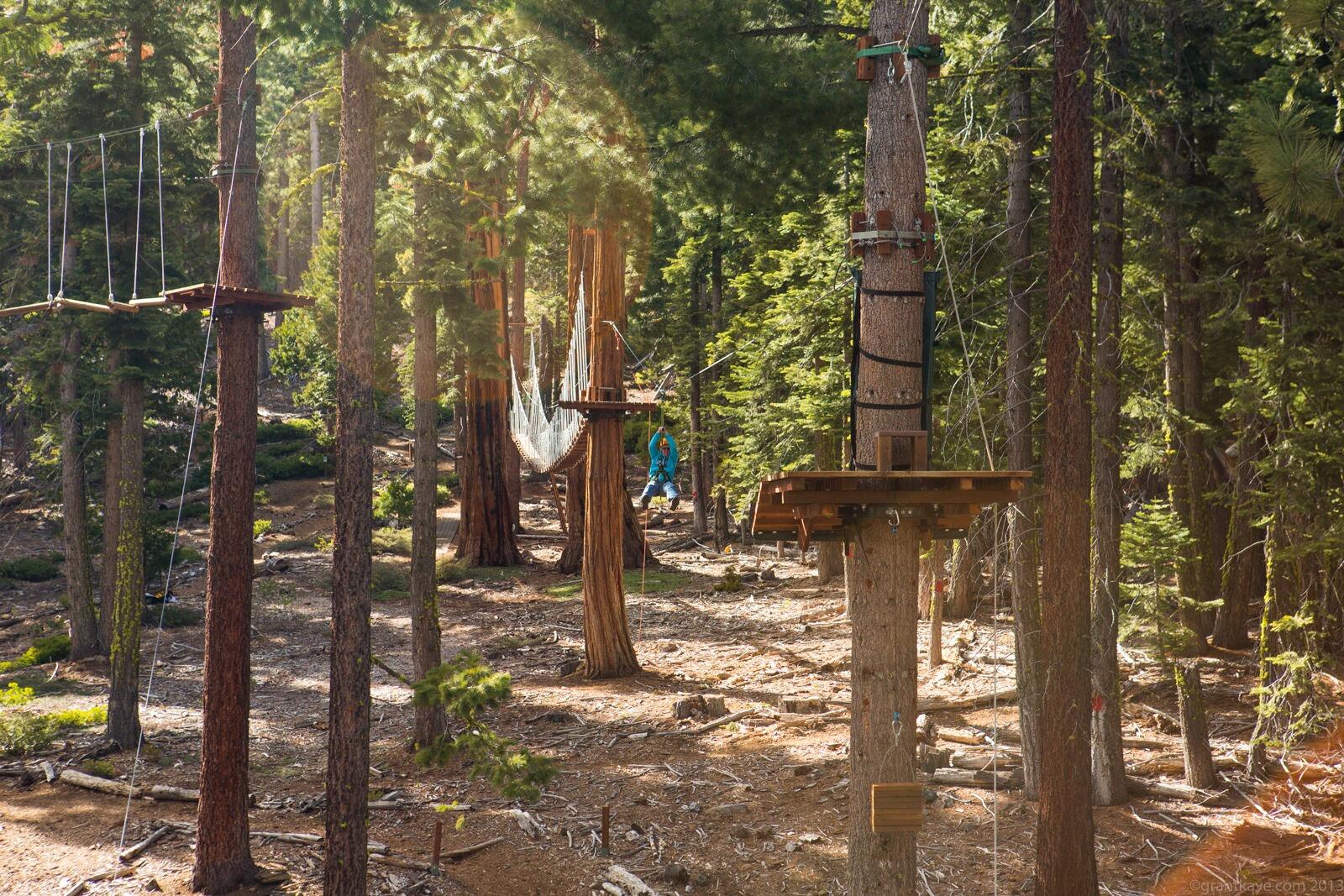 Picture of Tahoe Treetop Adventure Parks