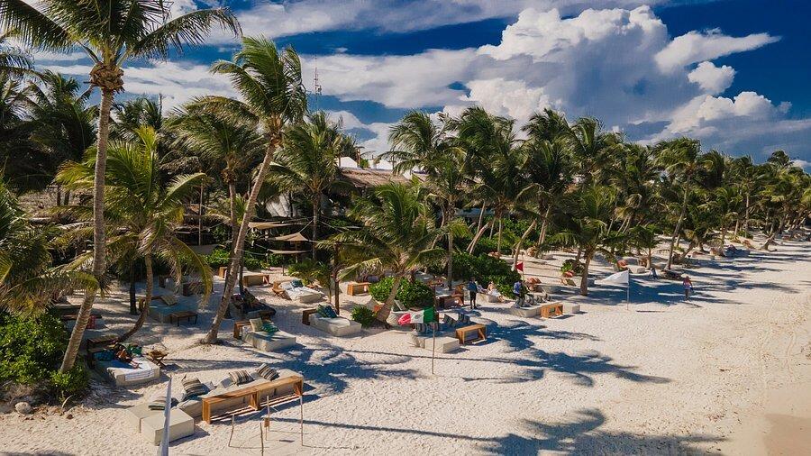 Picture of Ziggy's Beach Club