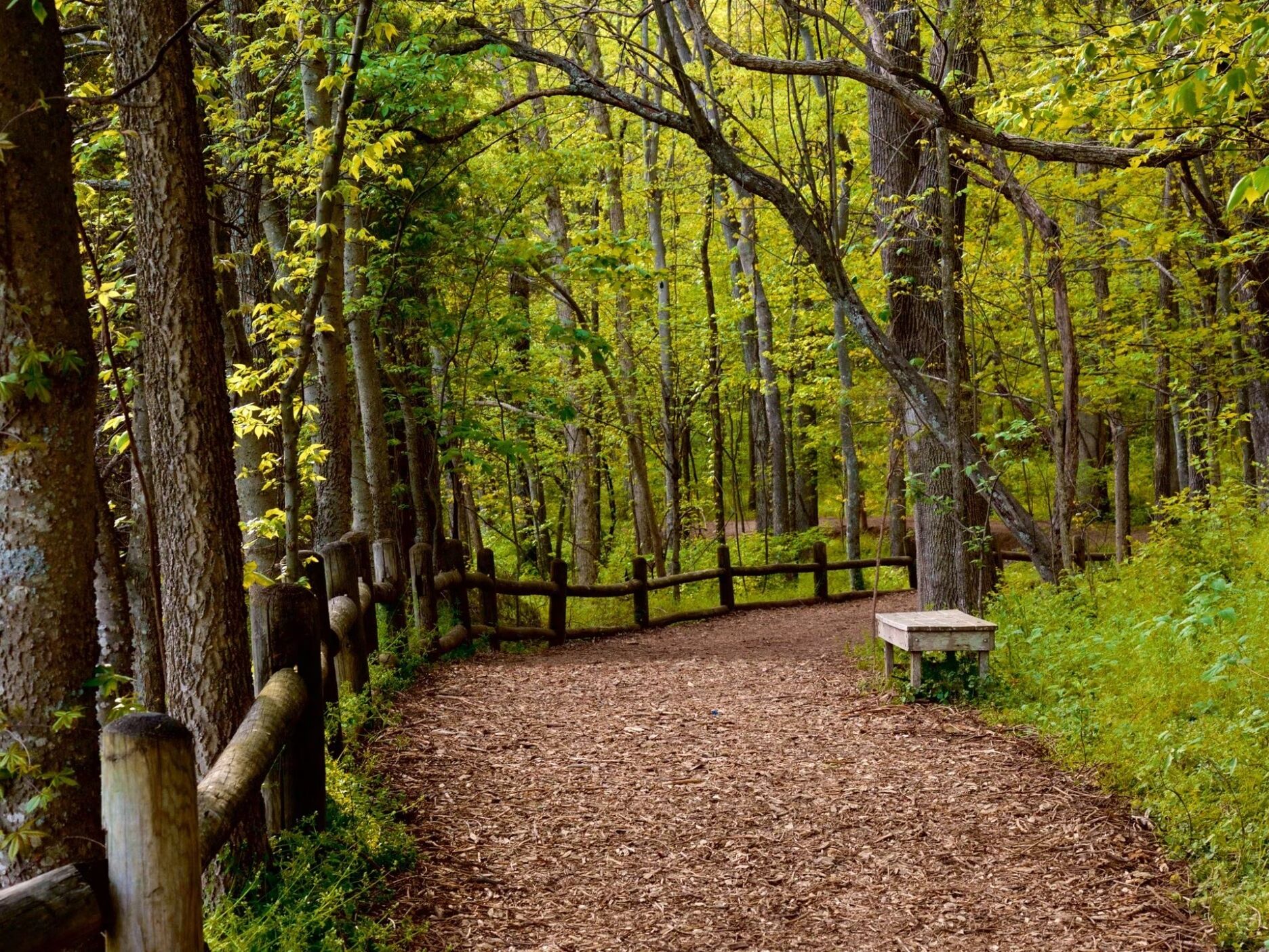 Picture of Radnor Lake State Park