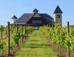 Picture of Breitenbach Wine Cellars