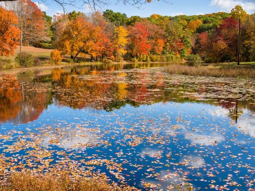 Picture of Southford Falls State Park