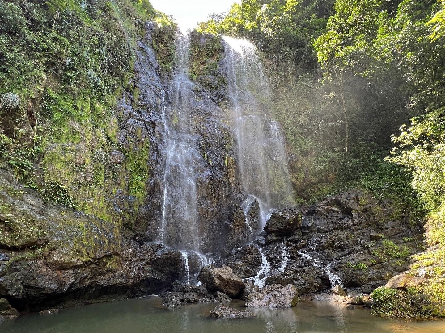 Picture of Charco Prieto Waterfall