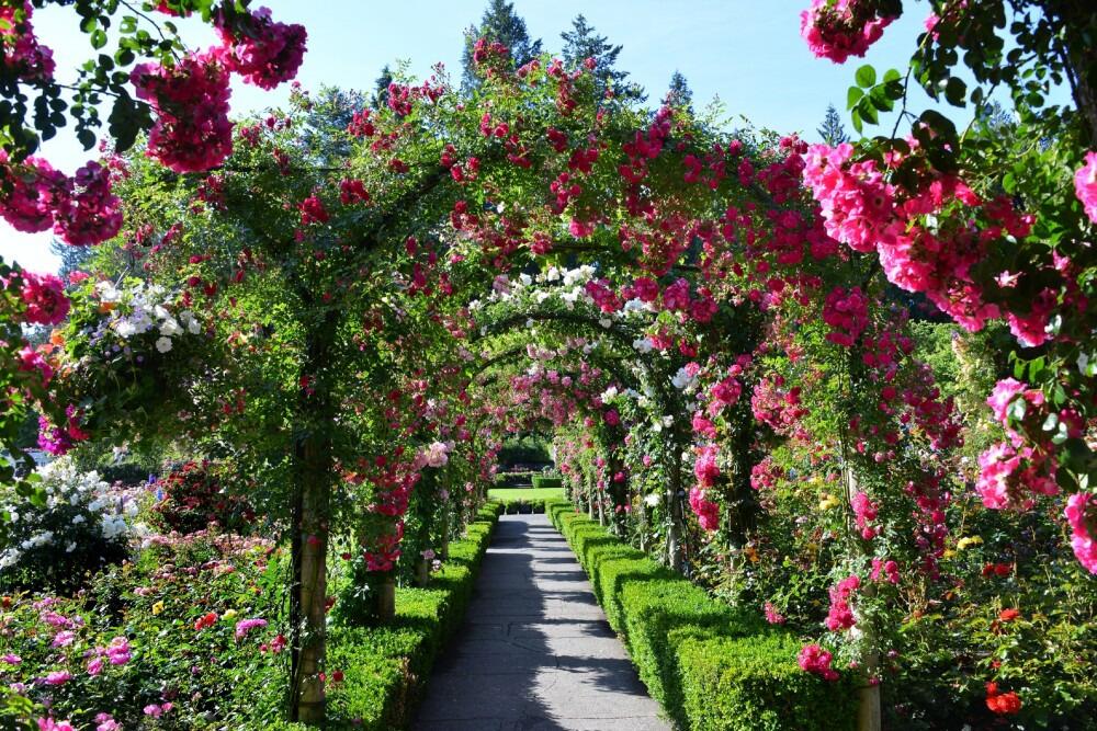 Picture of The Butchart Gardens