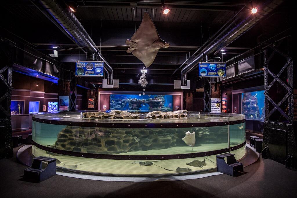 Picture of Greater Cleveland Aquarium